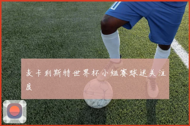 麦卡利斯特世界杯小组赛球迷关注度