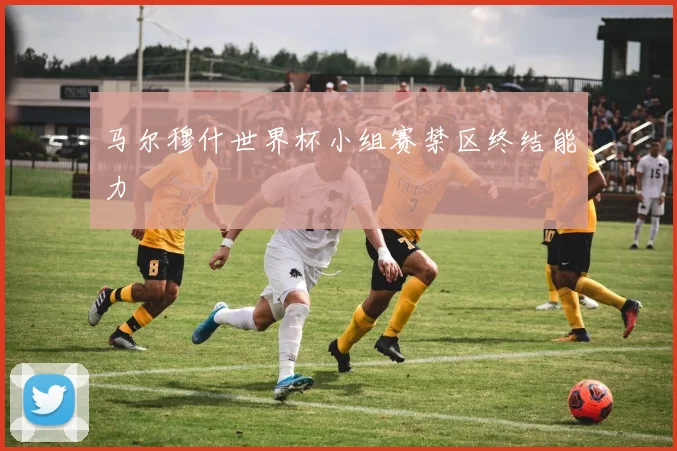 马尔穆什世界杯小组赛禁区终结能力