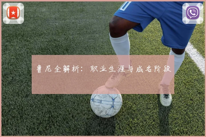 鲁尼全解析：职业生涯与成名阶段