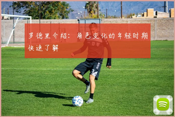 罗德里介绍：角色变化的年轻时期快速了解