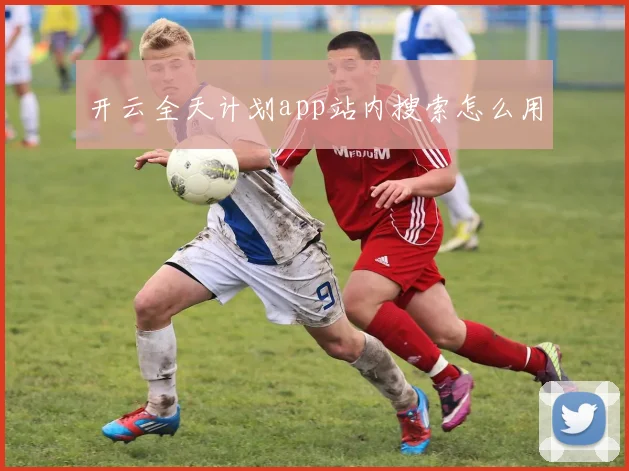 开云全天计划app站内搜索怎么用